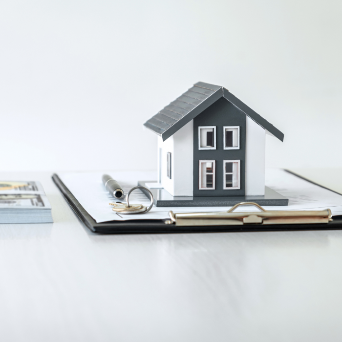 Design ohne Titel (3)